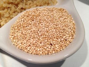 High Protein Foods
